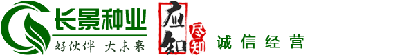 [長(zhǎng)景園林] 苗木批發(fā)基地-綠化公司-提供苗木報(bào)價(jià)-品種名稱圖片查詢